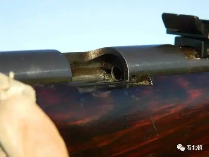 toz-8的扳机护圈是金属板冲压的,通过前后两个螺钉固定在护木上.