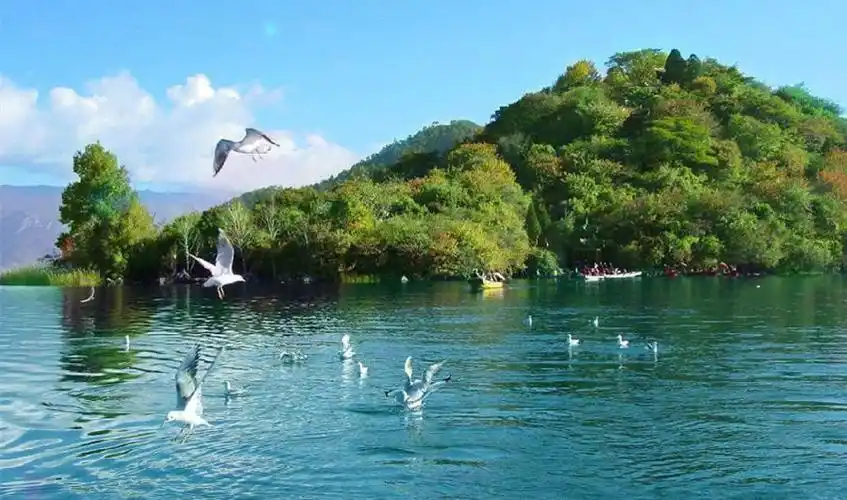 qionghai wetland park