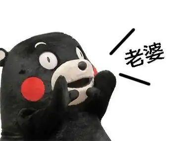 老婆- 熊本熊呐喊表情包_熊本熊_萌萌哒表情