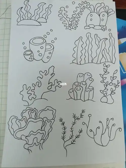 珊瑚海草简笔画