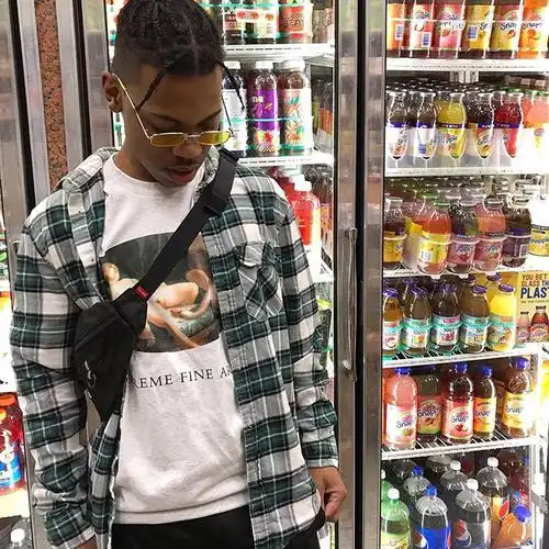 supremeledaandtheswantee丽达与天鹅天鹅女孩印花圆筒t恤