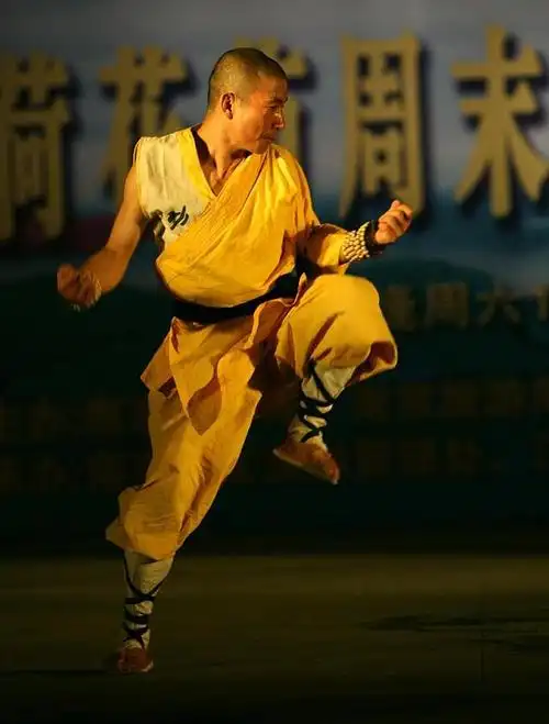 少林拳法十八式动作要领讲解喜欢的可以练习注意安全