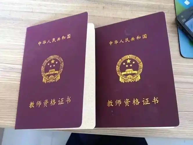 资格证的毕业生,除报考教师编外,这些选择也挺好_工作_培训学校_证书