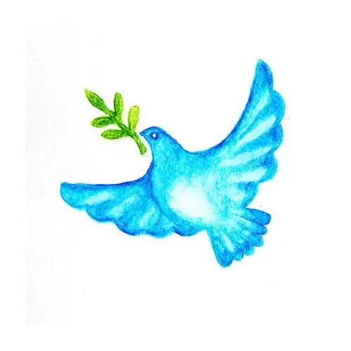 鸽子_橄榄枝_水彩_铅笔_蓝色_青橄榄_枝条_高清图片_全景视觉