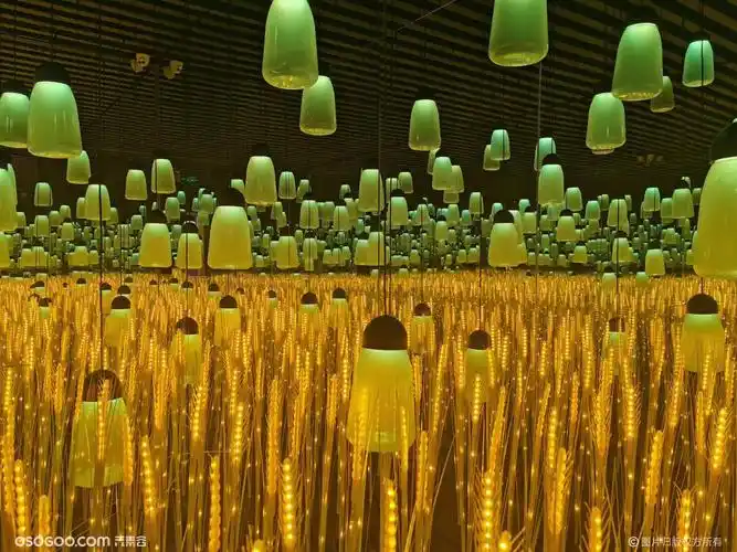 半透明呼吸森林出租网红呼吸森林租赁感应呼吸灯厂家七彩感应灯