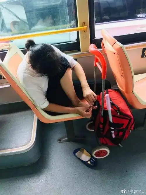 遛狗不牵绳当街光膀子这些不文明行为被拍下