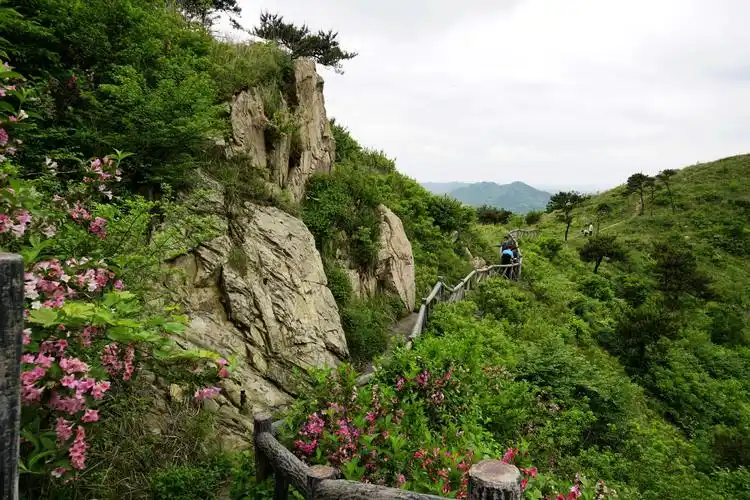 世界"推手"大青山——中国(日照)大青山第七届国际太极拳大赛开幕