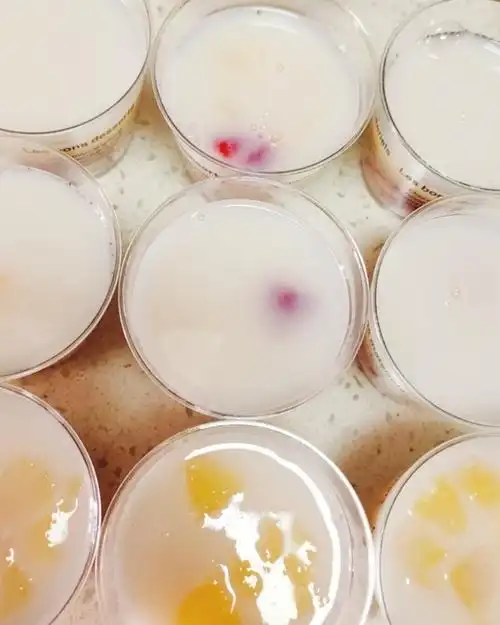 自制甜品台74水果椰奶果冻白凉粉版简单零失败椰汁冻