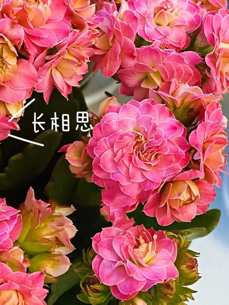 960_1280竖版 竖屏