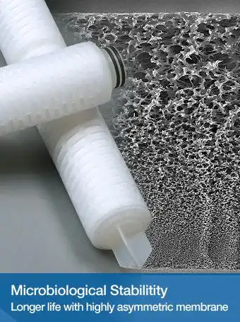 高效率除菌级滤芯--科百特cobetter