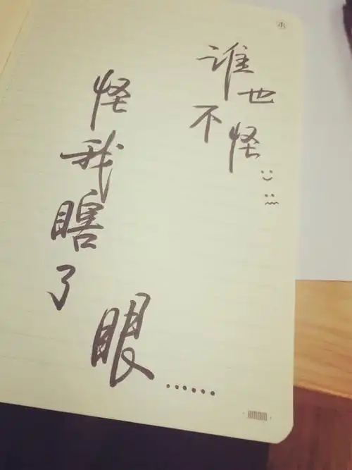 谁也不怪怪我瞎了眼