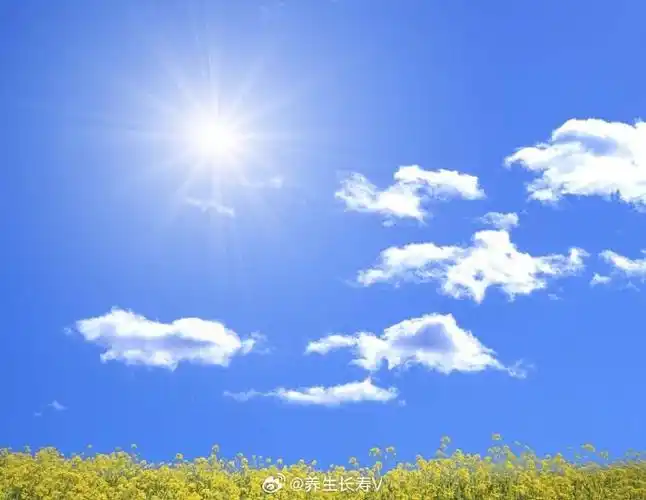 夏天上午九,十点钟的阳光最好,此时阳光不强也不弱.