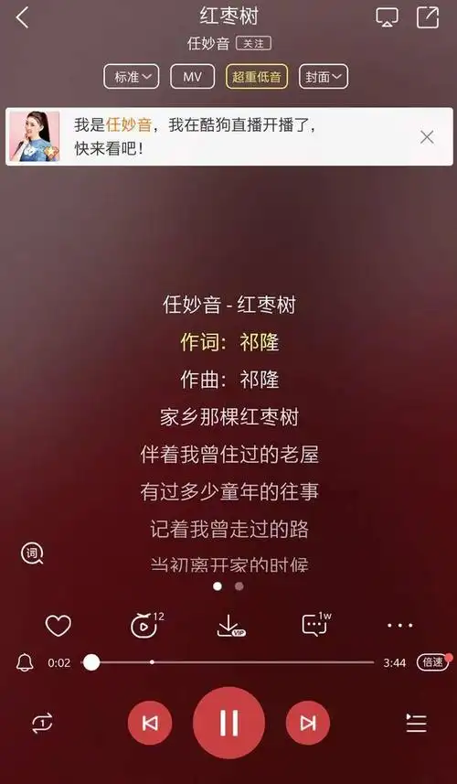 任妙音酷狗首唱红枣树孟小笛倾情助阵带来音乐盛宴