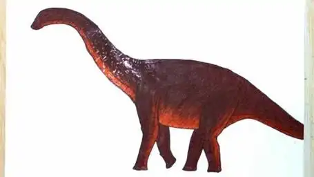 恐龙系列,怎样绘画鲸龙