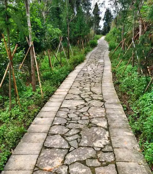 大闽海拔最高公园——福州避暑之地鼓岭 相遇即是缘
