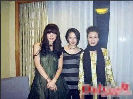 天后王菲与赵薇刘嘉玲等好友绝密家居照(组图)