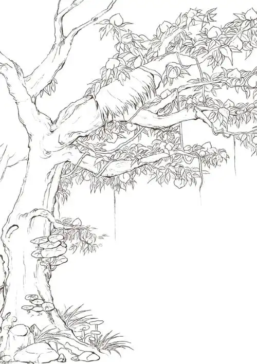 线稿过程之江百里的桃树