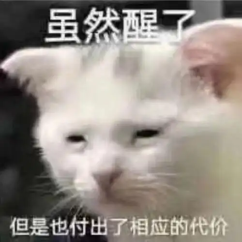 虽然醒了但是也付出了相应的代价猫咪犯困表情包付出代价犯困猫咪表情