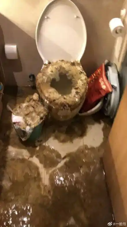 百家湖一业主家马桶倒灌满屋粪便!物业:领导已隔离,该找谁找谁