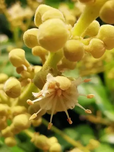 新冠严控期间的居家与市场之路遇 - 美篇