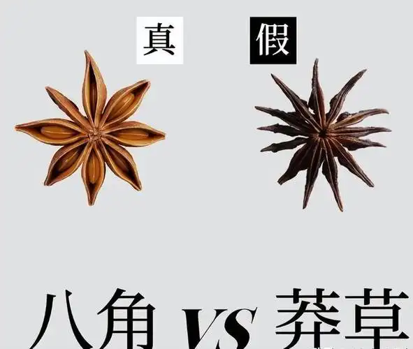 其实,八角也是分真假的,假的八角和真八角长得极其相似,宛如双胞胎