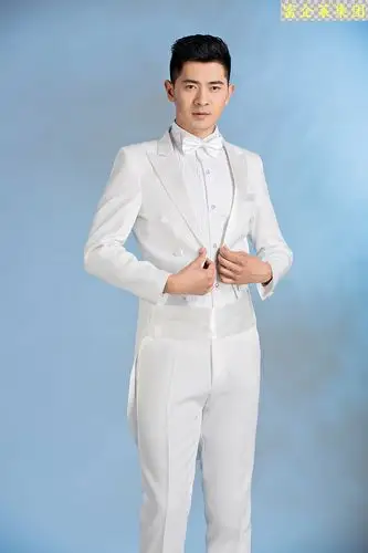 新款男士燕尾服歌手主持人司仪魔术舞台美声合唱演出服结婚礼服男