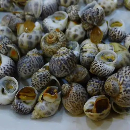 厦门名师画画叶永泉