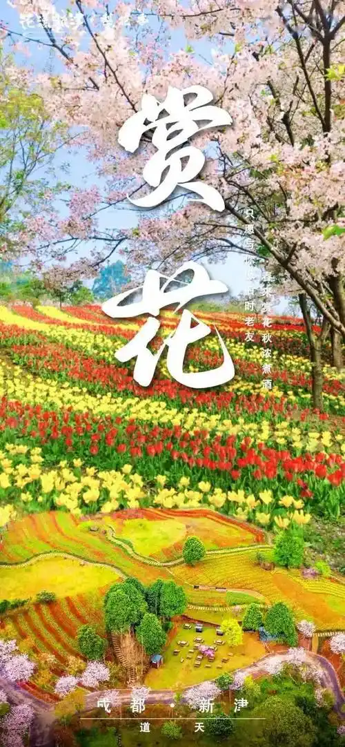 10张唯美海报,送你新津最美"梨花季"!_踏青_美食_登山
