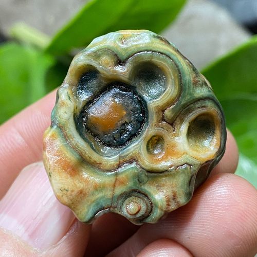 天然阿拉善戈壁玛瑙眼睛石/天然象形/金丝猴/浮雕眼象形石奇石