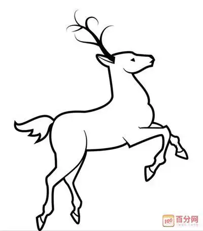 鹿儿的简笔画