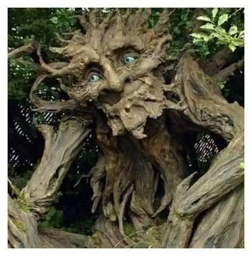 树",一被缠住就化成白骨,却人人争相保|奠柏|植物|食人花_网易订阅