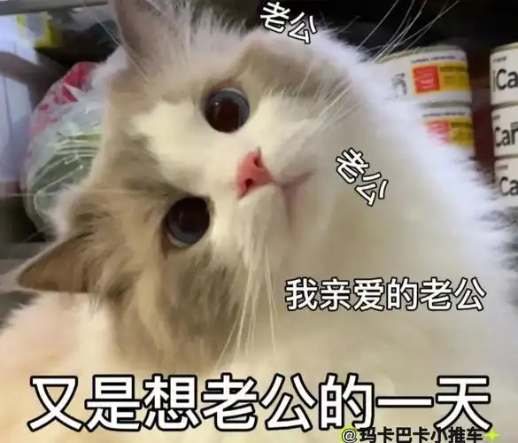 贴贴#奇奇怪怪表情包  #我要上热门  #表情包分享