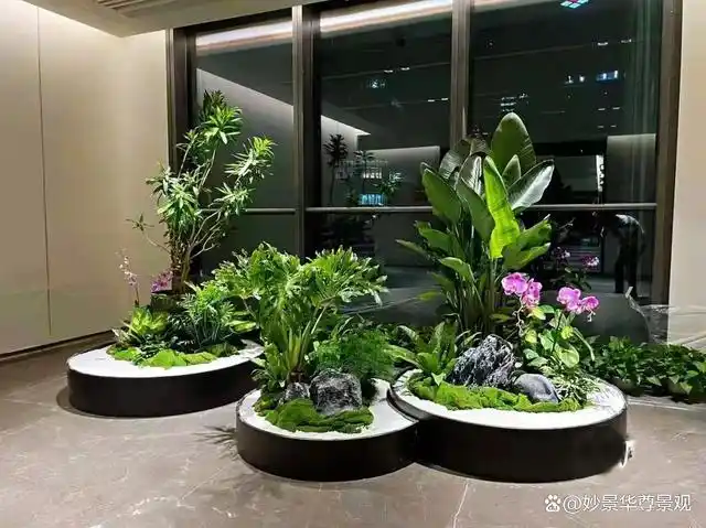 酒店大堂绿植盆栽租摆,南京的酒店大堂绿植盆栽租摆公司还是有很多的