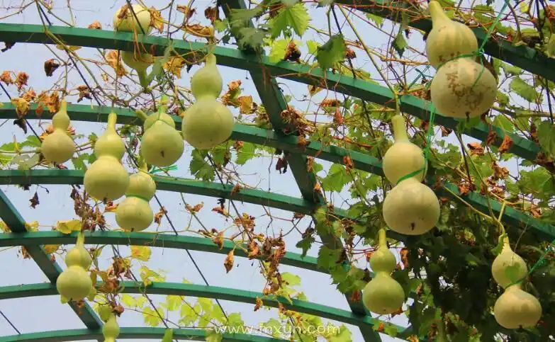 选择抽纸的六大技巧分享 从三方面鉴别抽纸质量的好坏