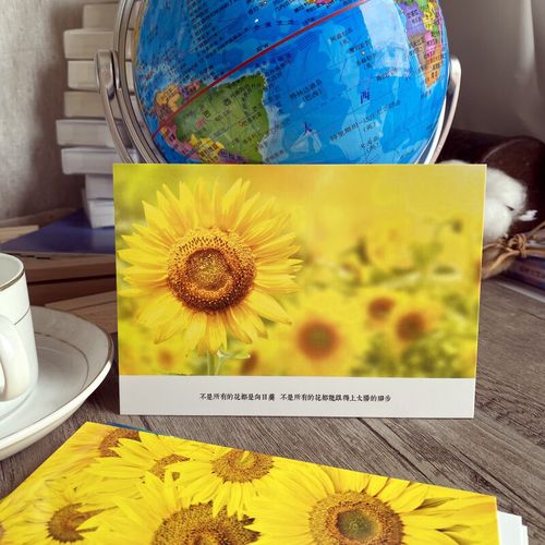 我心向阳追求梦想 希望之花向日葵向上卡片 繁体字文案 向着阳光