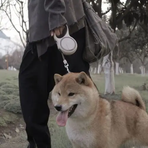 头像丨男生身处泥泞遥看满山花开
