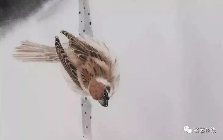 好作品会说话活灵活现工笔麻雀高清