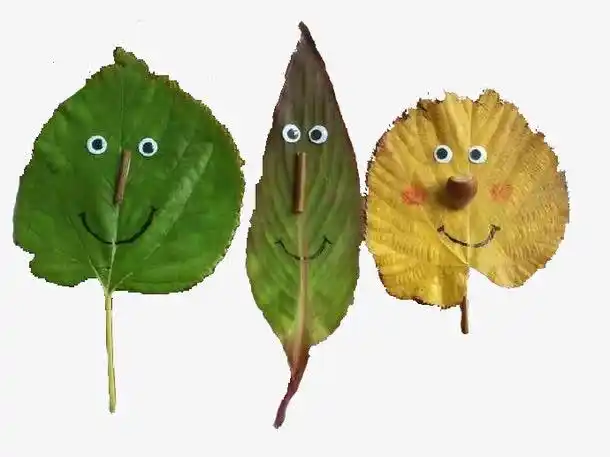 免扣素材叶子表情