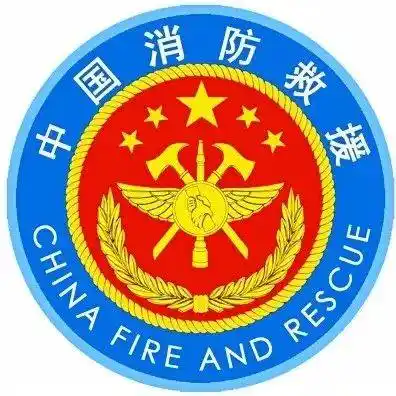 悬挂专用号牌的车辆执行应急救援任务时可以使用警报器,标志灯具;在