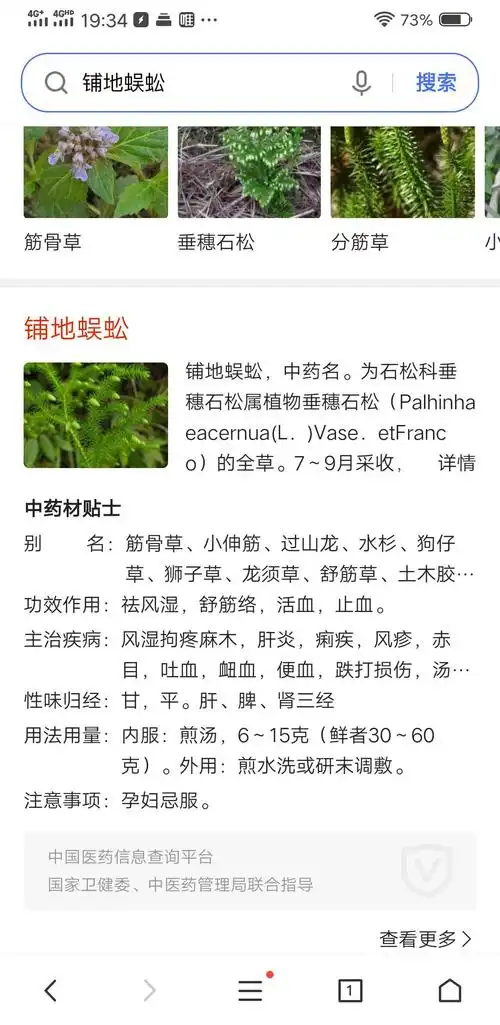 治疗伤筋动骨的草药