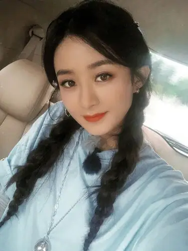 赵丽颖麻花辫造型自拍照图片1214