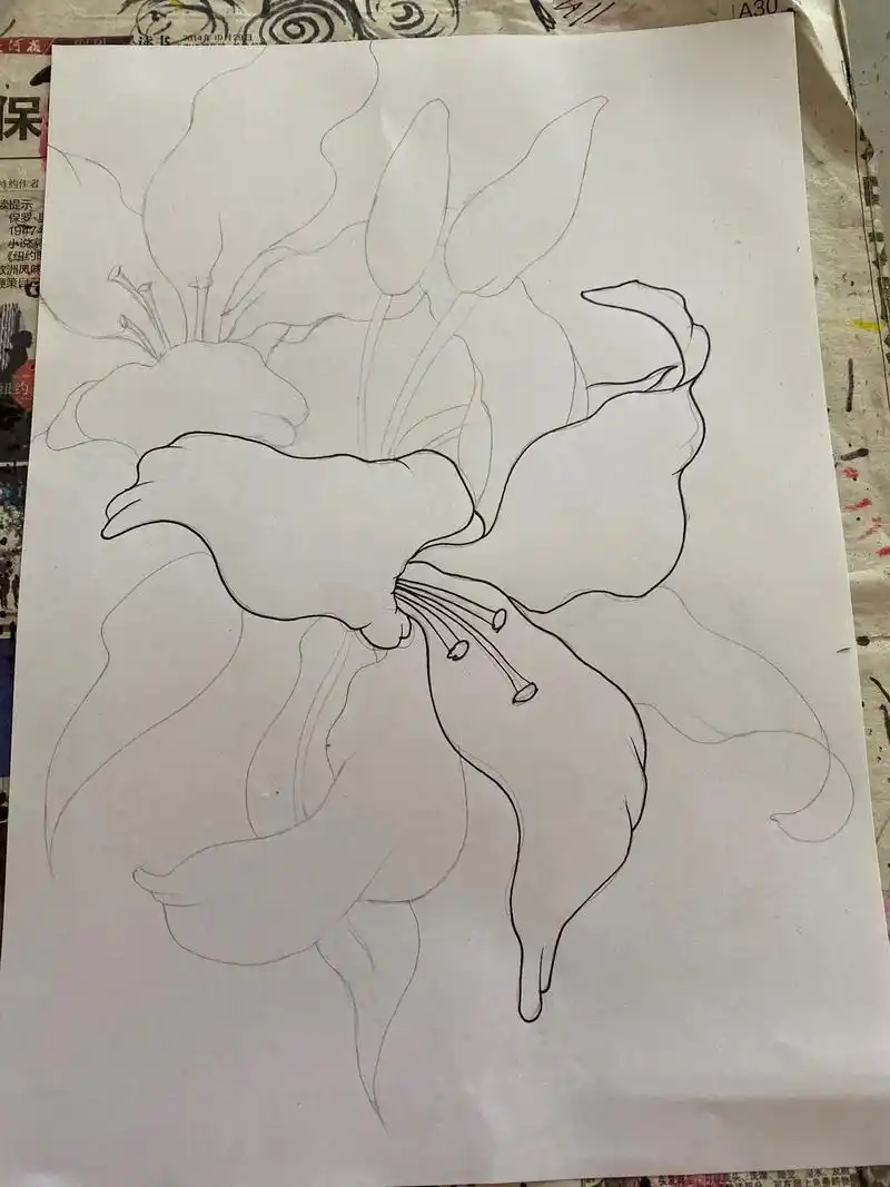 画一幅完整的百合花作品吧!#灵感创作 #百合花开 #黑白装饰 - 抖音