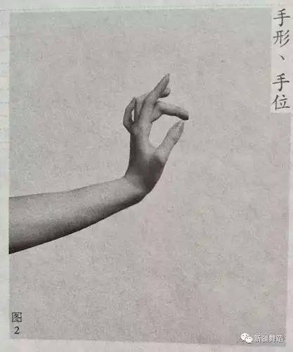 维吾尔族舞蹈基本体态,手形和手位