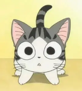 猫招套餐_互动百科