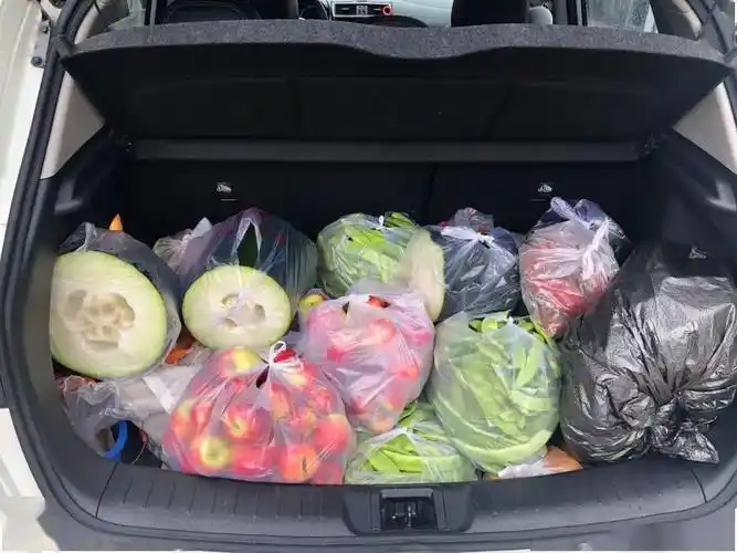 后备箱放满了,后座也不能闲着自家种的瓜果蔬菜图源:新浪微博jessica