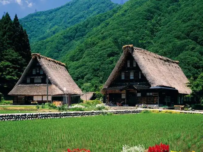 真实的日本农村, 很干净整洁, 值得我们学习