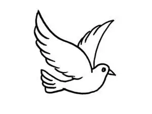 国庆节简笔画和平鸽