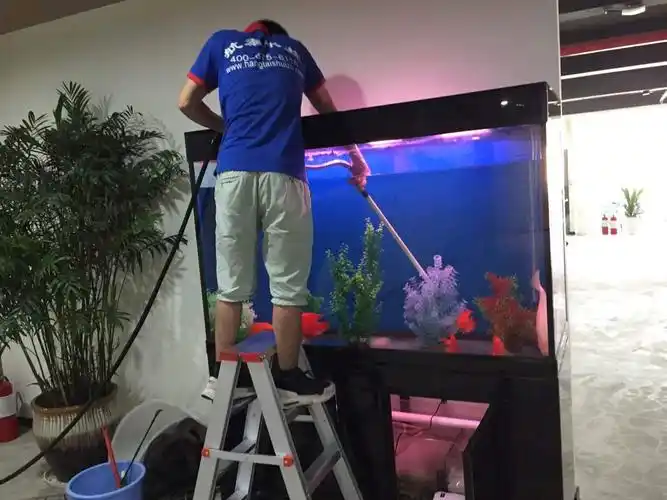 论:怎样给鱼缸正确的换水?