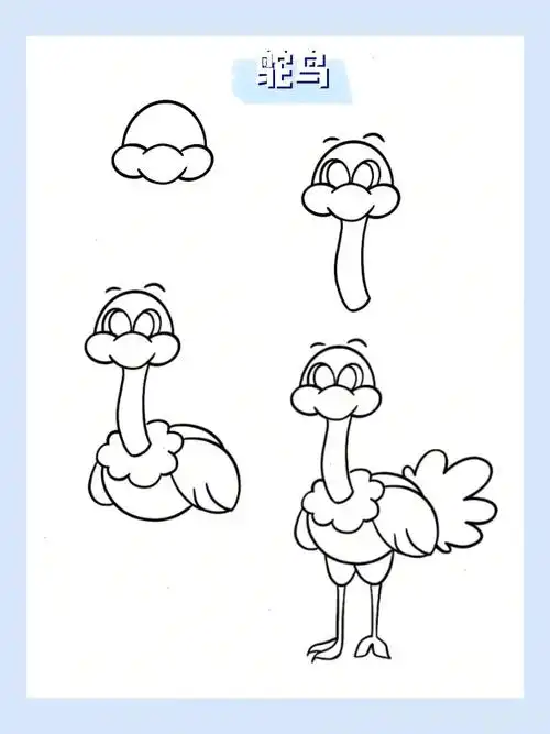 简笔画动物篇鸵鸟5560
