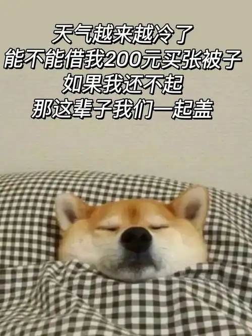 天气越来越冷了,能不能借我200元买张被子,如果我还不起,那 - 抖音